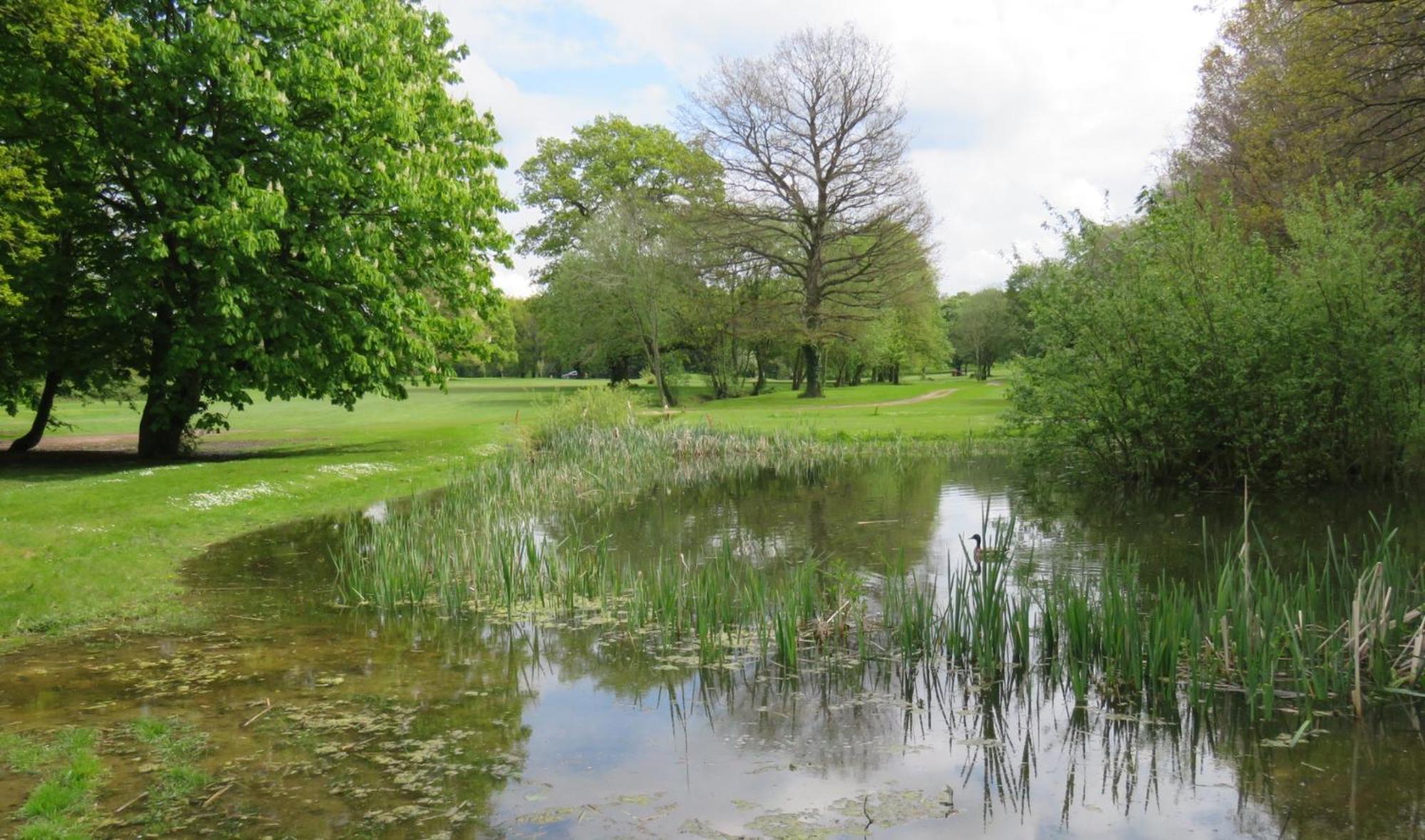 Manor Of Groves Hotel, Golf & Health Club Собриджуърт Екстериор снимка